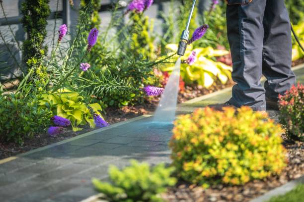 Best Driveway Pressure Washing  in Rio Pinar, FL